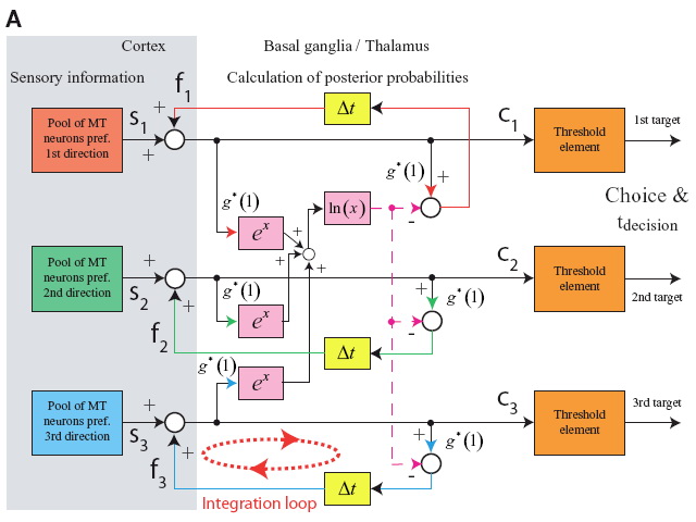 MSPRT feedback model